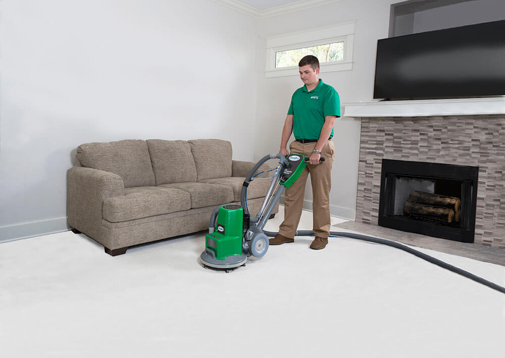 Carpet Cleaning in Greeley, CO Ace ChemDry of Northern Colorado