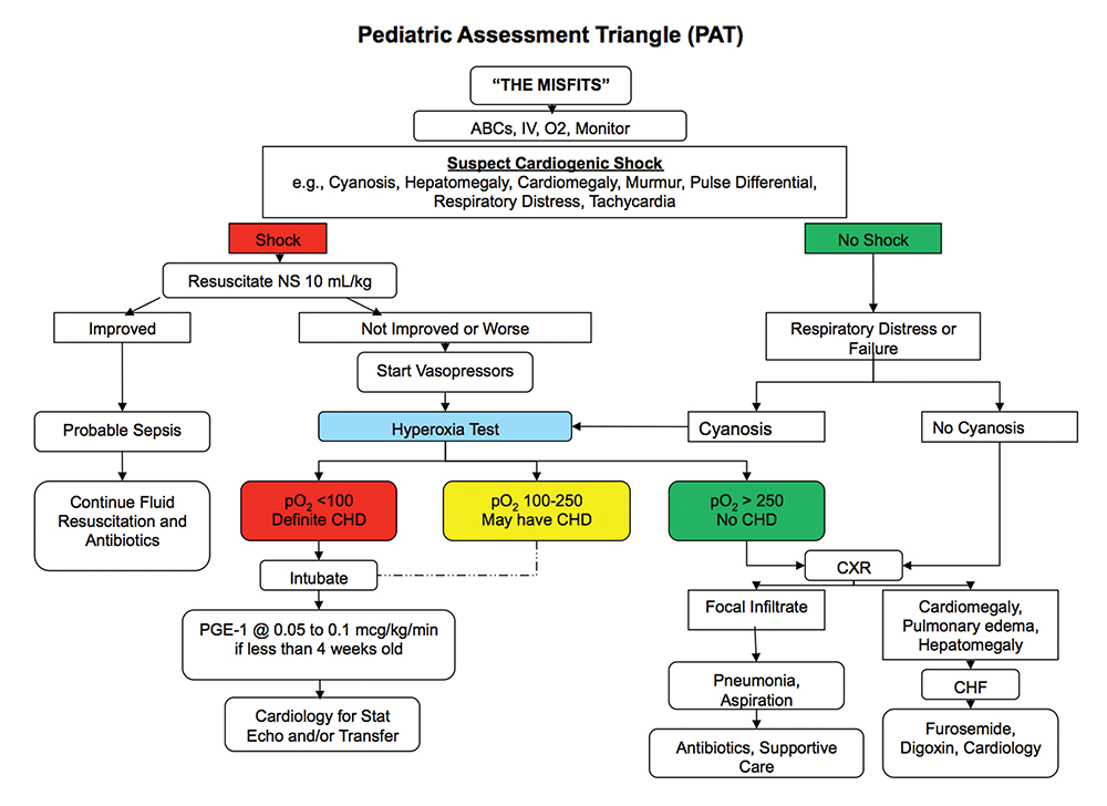 Pediatric Emergency Playbook Podcast a Key Resource for Emergency
