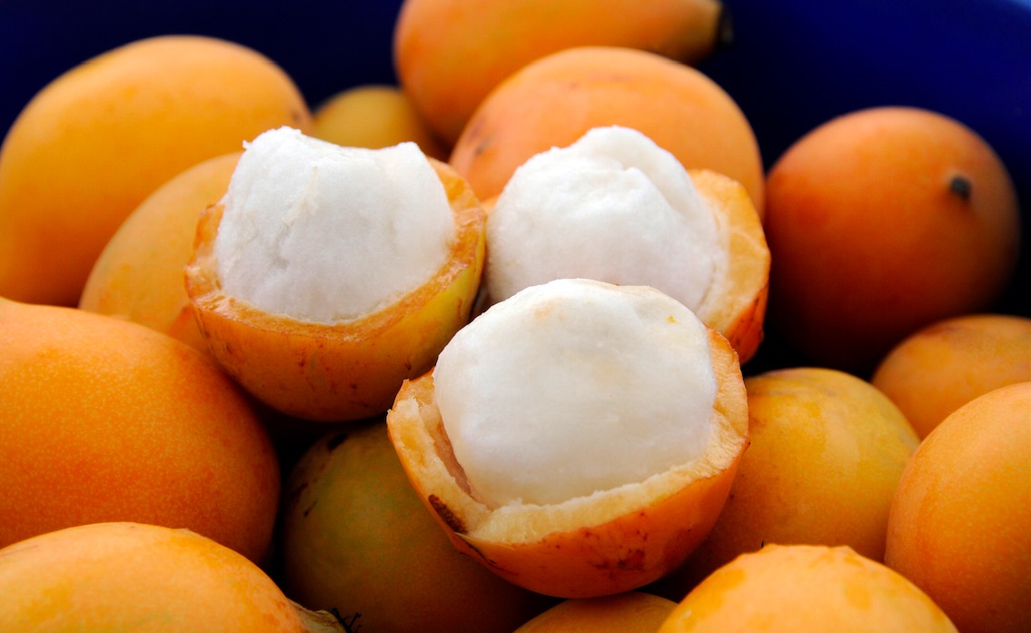 to the world’s first and largest Achacha Tropical Fruit Plantation