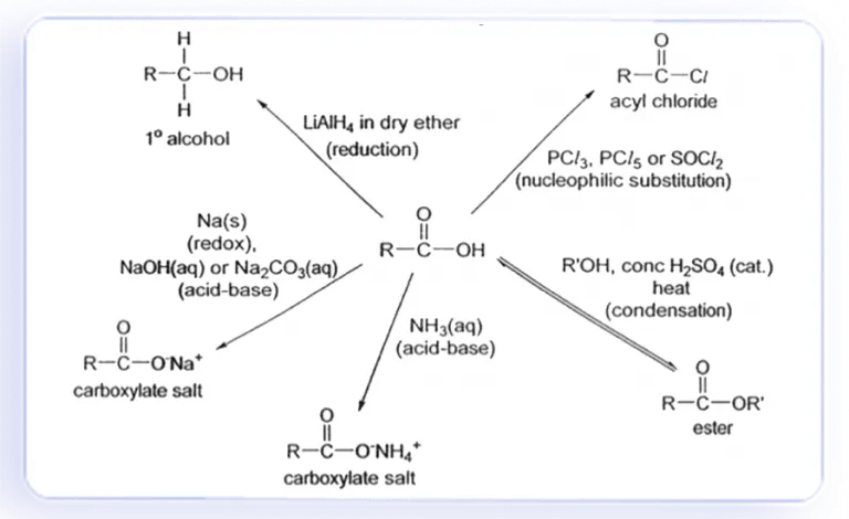 Achievers Dream Carboxylic Acids & Derivatives