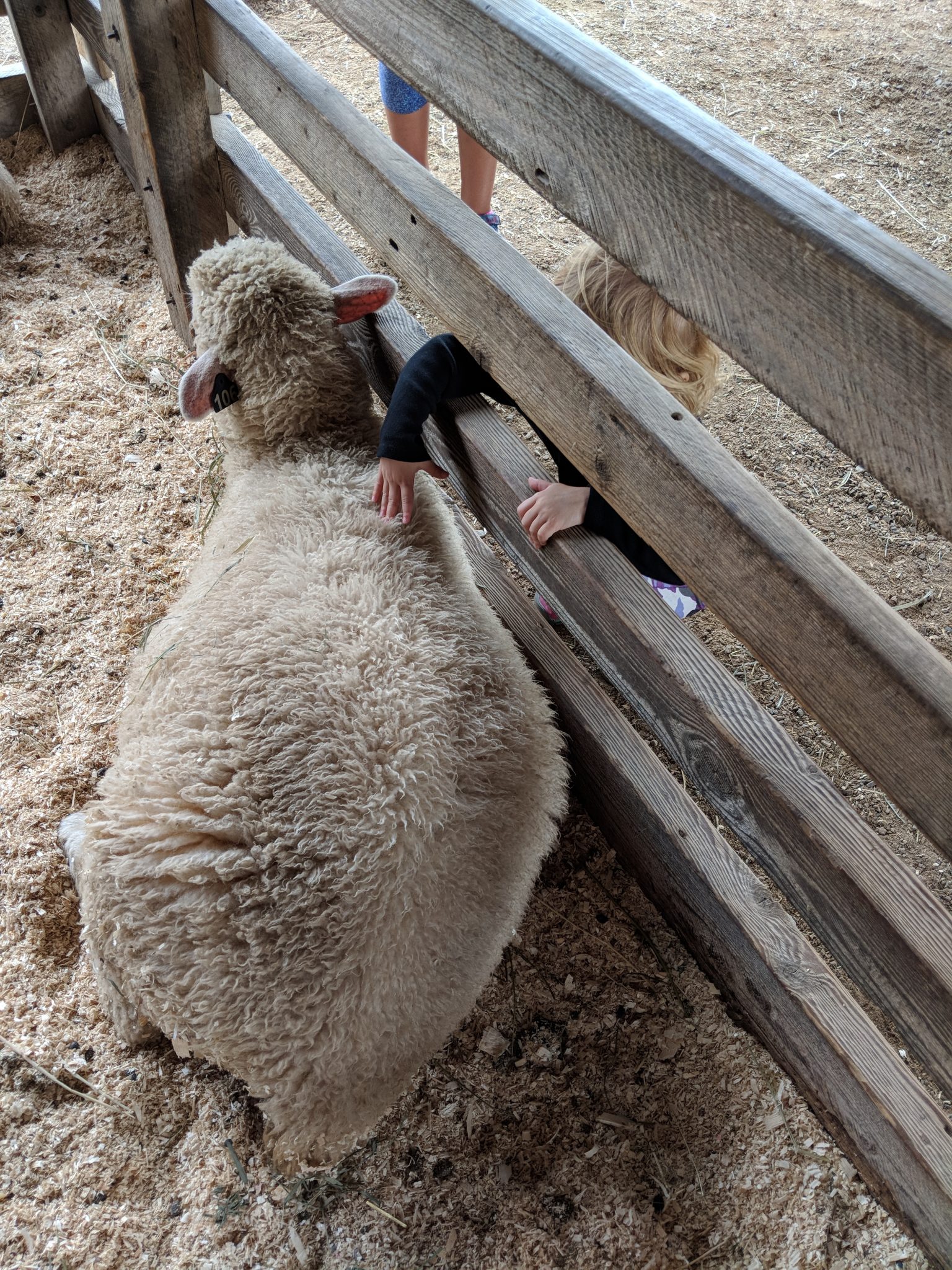 34 HQ Photos Pet Food Warehouse Shelburne Vermont Meet the Staff Pet Food Warehouse