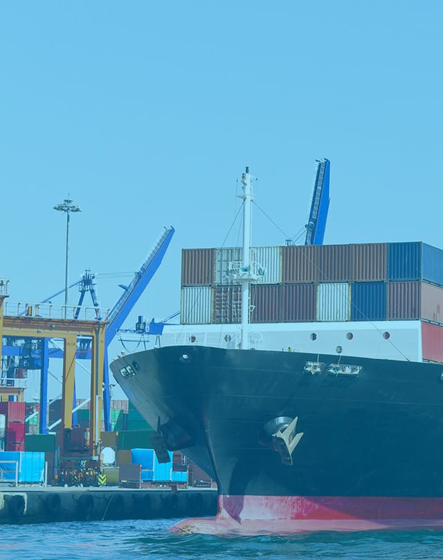 Access Japan Co., LTD.│Customs Clearance and Forwarding