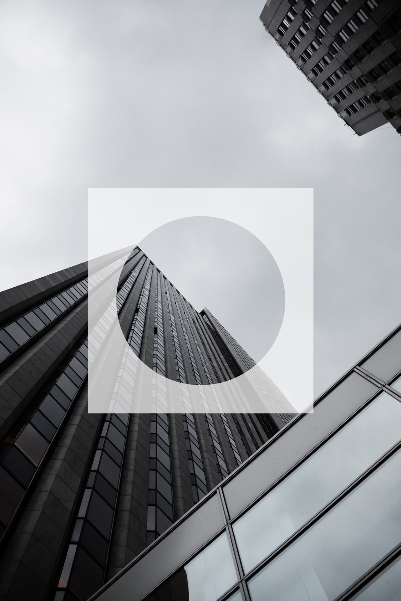 Julio Moreno Ackermann International