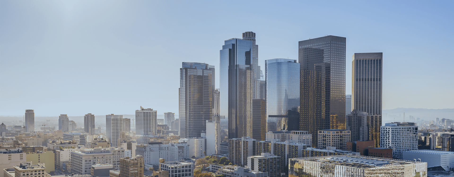 sercies AckmanZiff Real Estate Group LLC