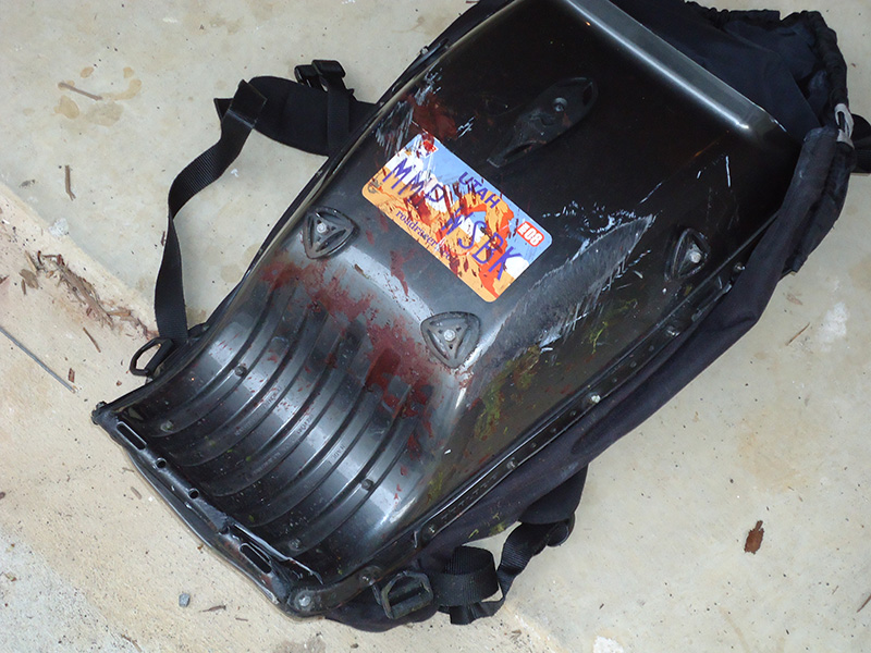 ATGATT A deer destroyed my Ducati =( r/motorcycles