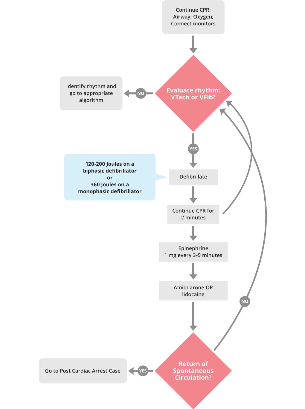 ACLS Cardiac Arrest VTach and VFib Algorithm ACLS Medical Training