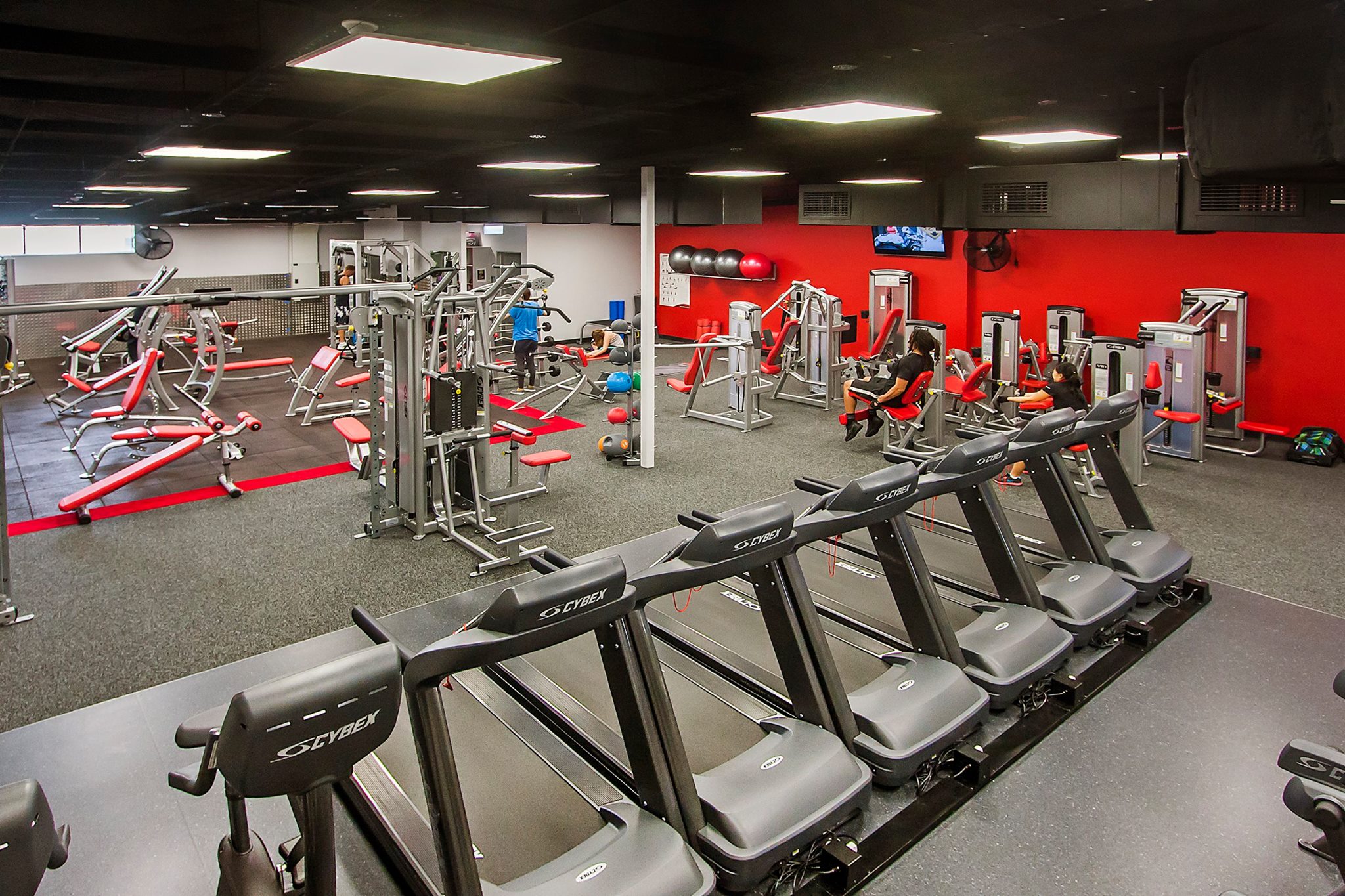 Gym Renovation Fairfield, in Brisbane ACM Constructions