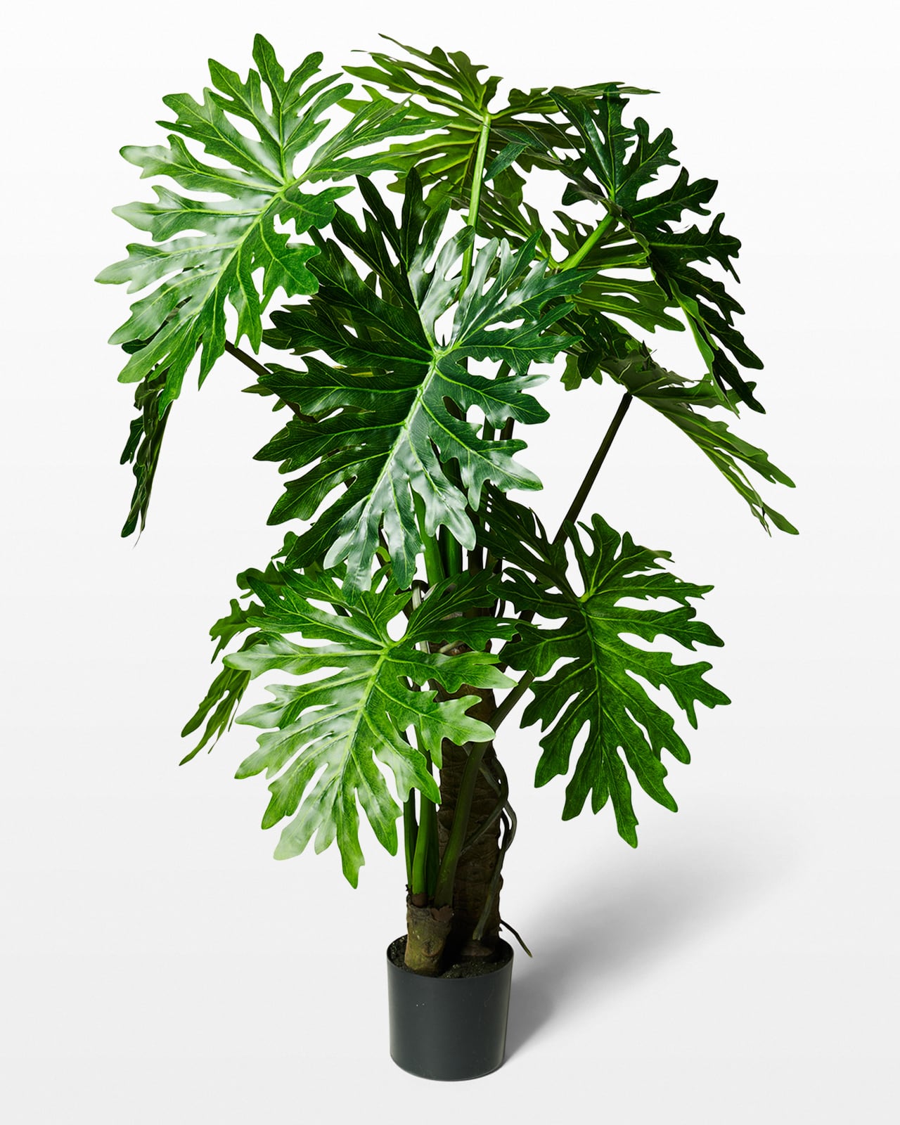 FP060 Ferry Potted Faux Monstera Plant Prop Rental ACME Brooklyn