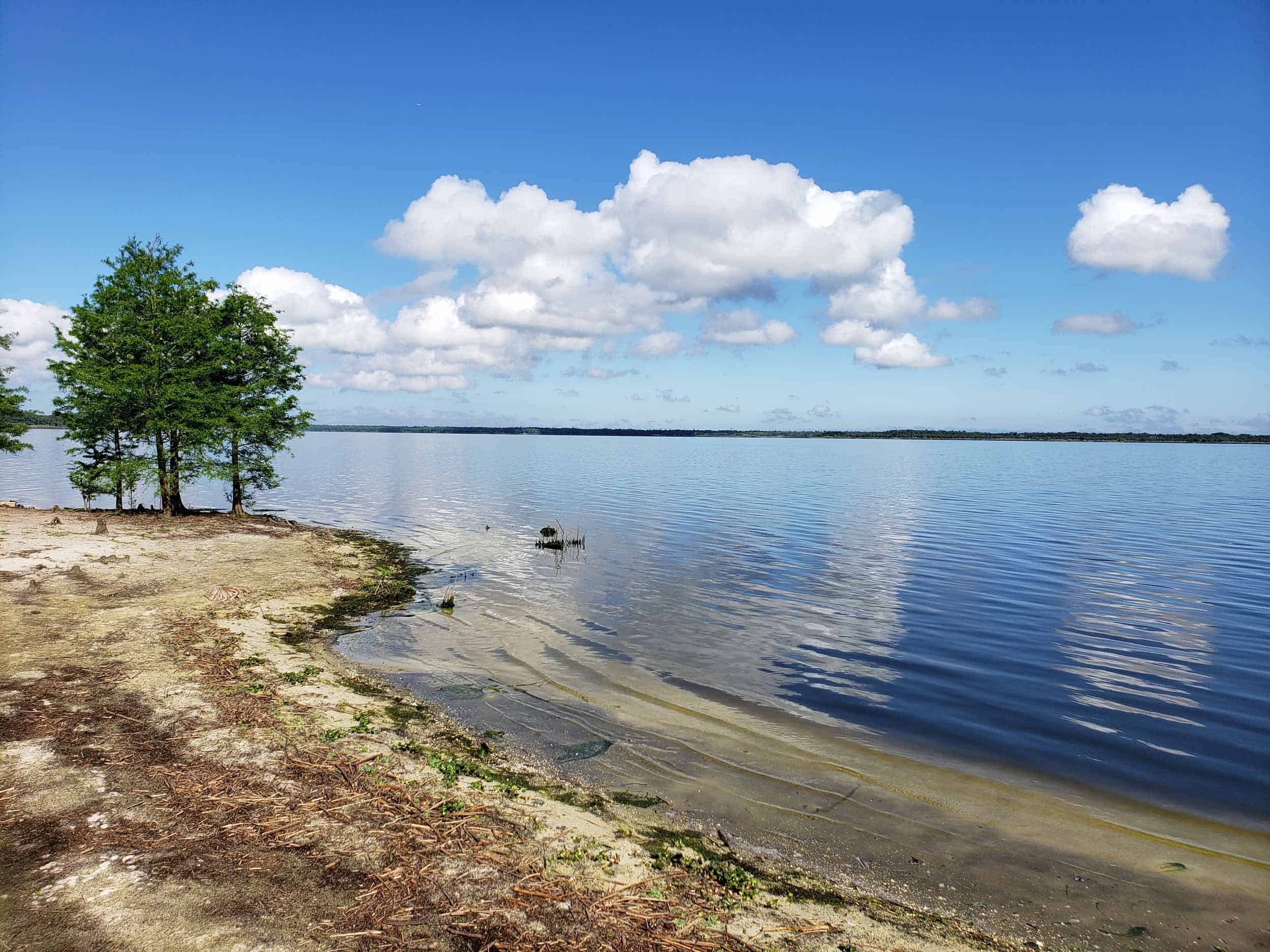 Winter Springs Acme Real Estate Florida