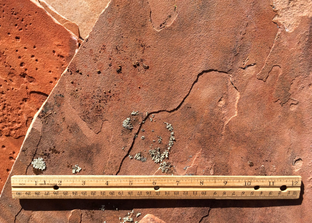 Flagstone.Tucson.520.296.6231 Acme Sand & Gravel