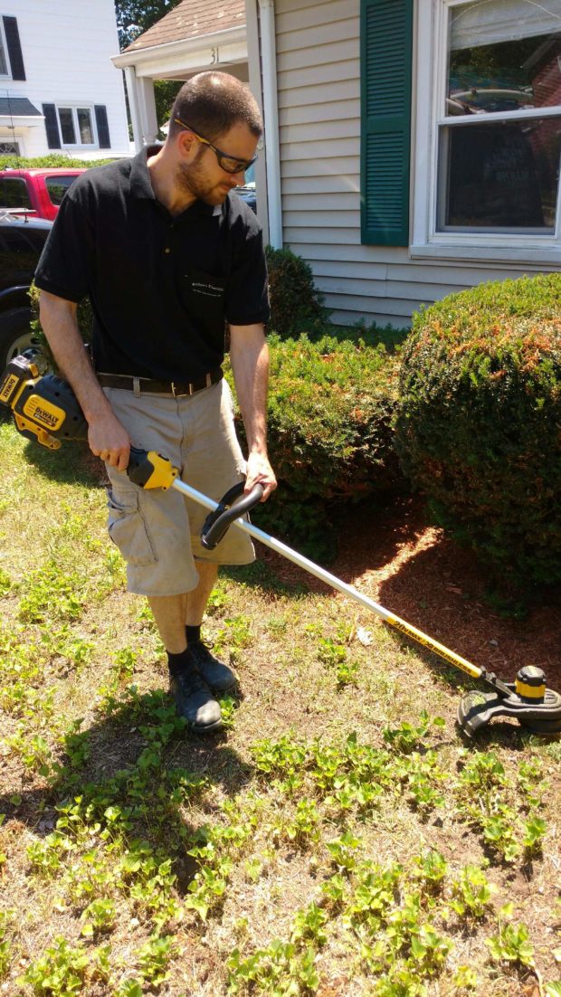 See our picks for the best 10 dewalt battery powered weed eaters in uk. DeWalt 20v String Trimmer Review - Concord Carpenter
