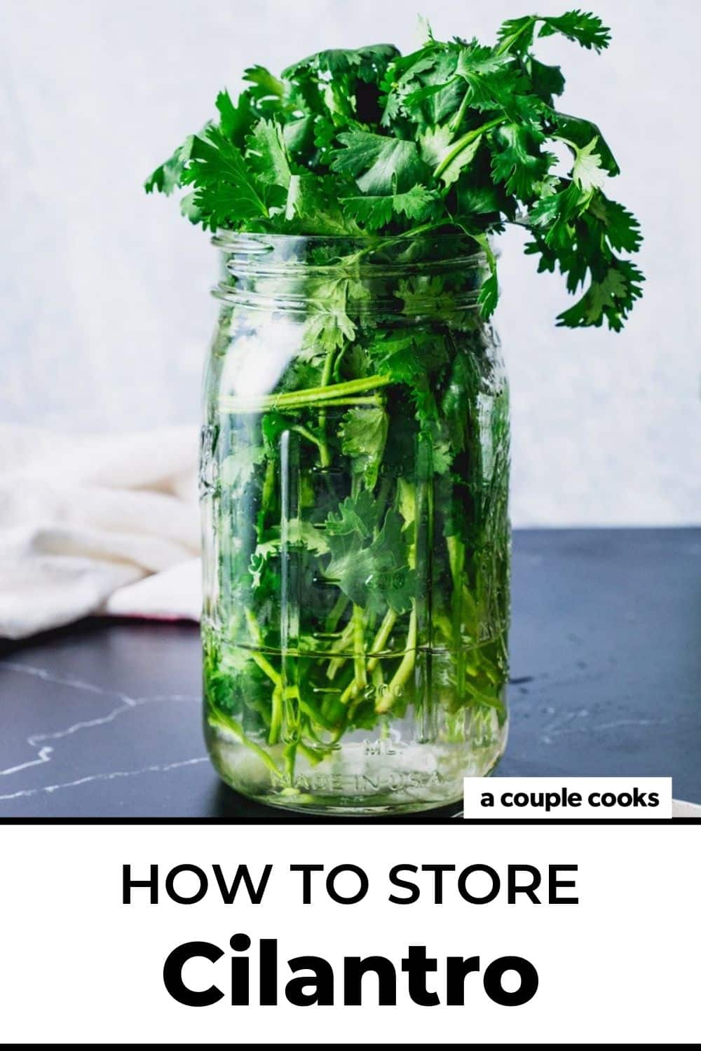 How to Store Cilantro A Couple Cooks