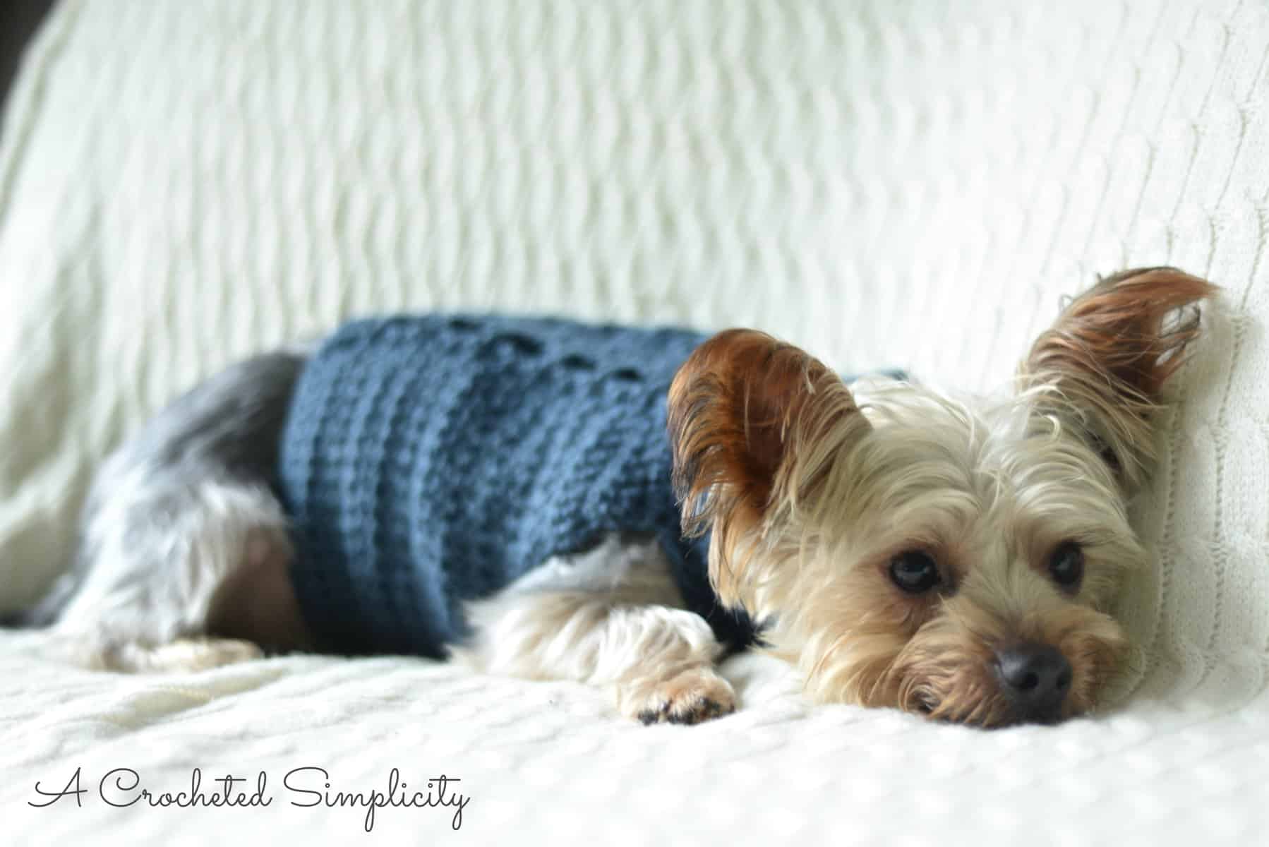 Free Charity Crochet Pattern Cabled Dog Sweater A Crocheted Simplicity