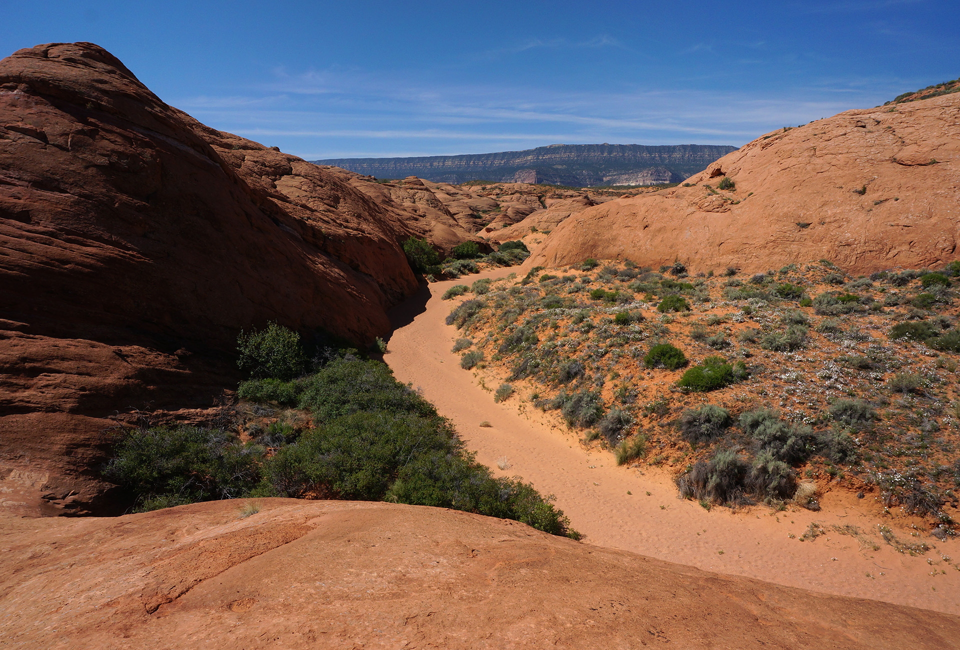 Hike Guide Coyote Gulch Across Utah!