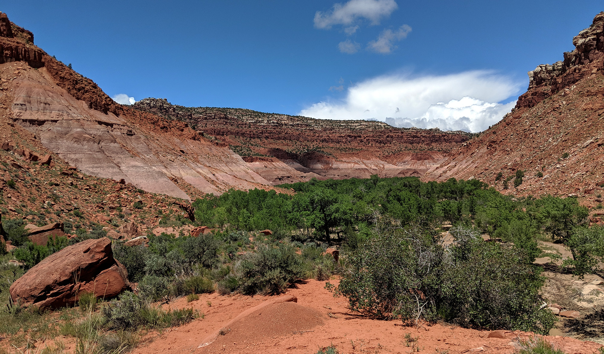 Round Valley Draw and Hackberry Canyon Across Utah!