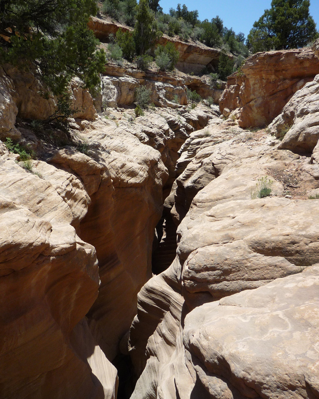 Round Valley Draw and Hackberry Canyon Across Utah!