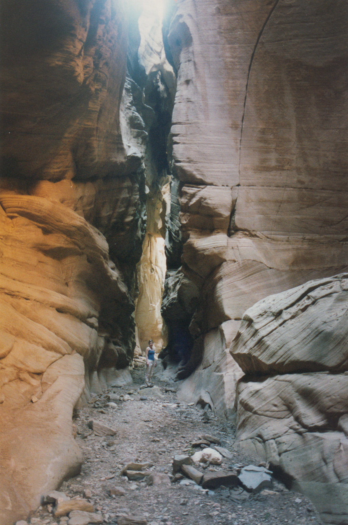 Bull Valley Across Utah!