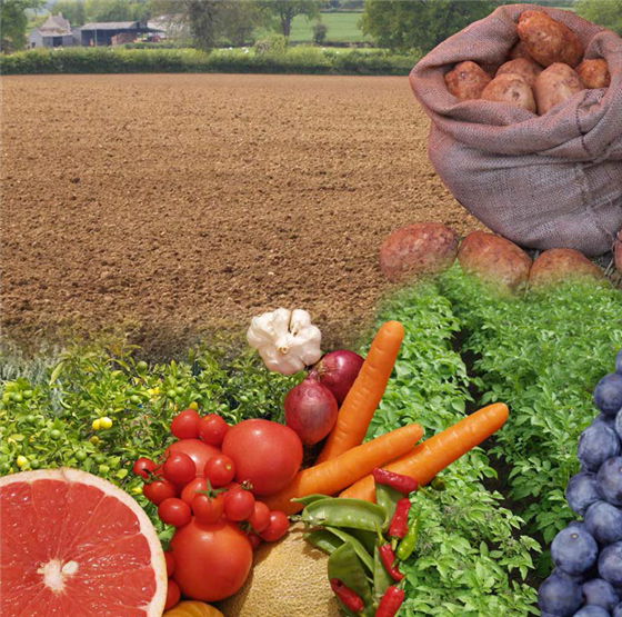 Practical Agriculture Courses