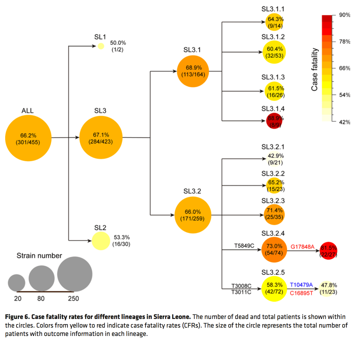 Ebola Mutation Map Suggests the Virus May Evolve to More Lethal