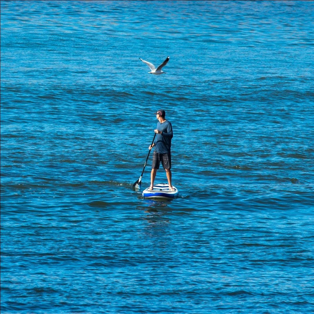 8 Benefits of Paddleboarding Workout for Your Health Act4apps