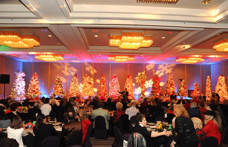 2015 Christmas Tree Lane Act for MS