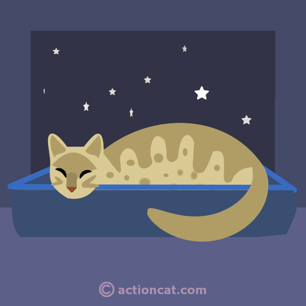 Action Cat Occasions