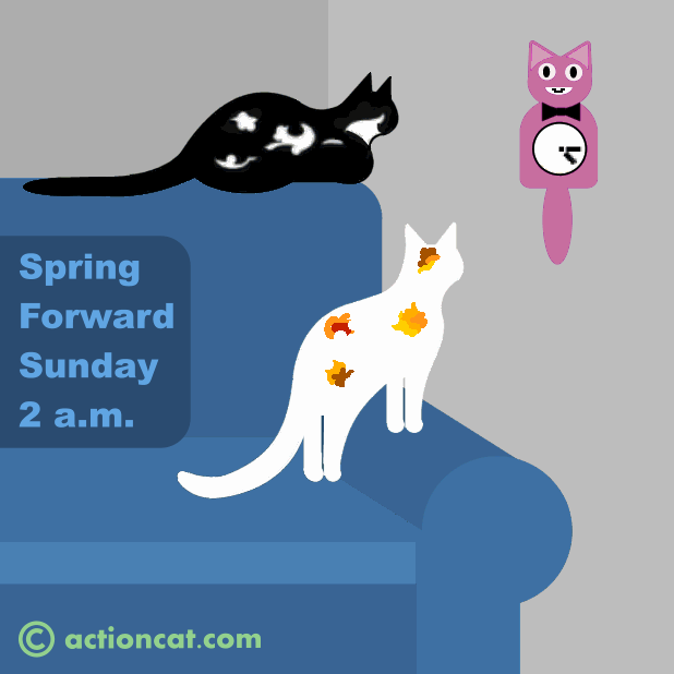 Spring Animations