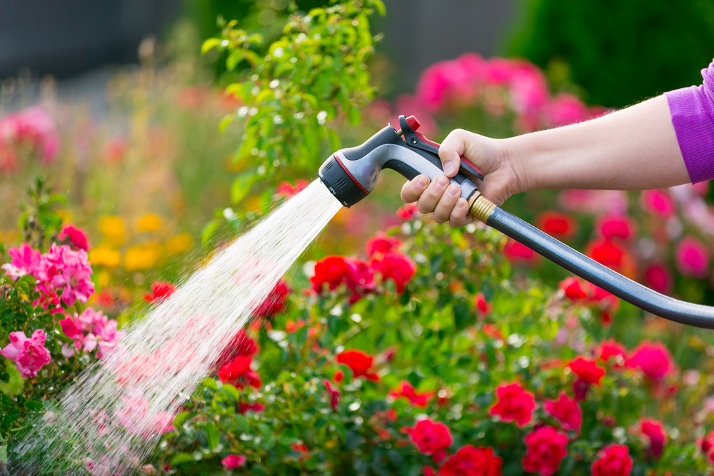 How To Protect Garden From Extreme Heat Image to u