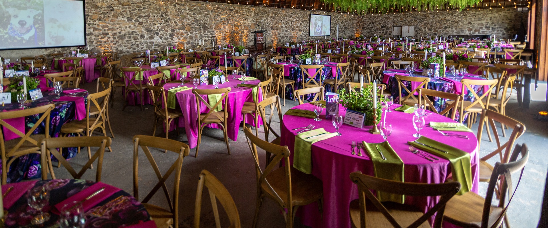 Action Party Rentals Event/Party rental store in Allentown PA