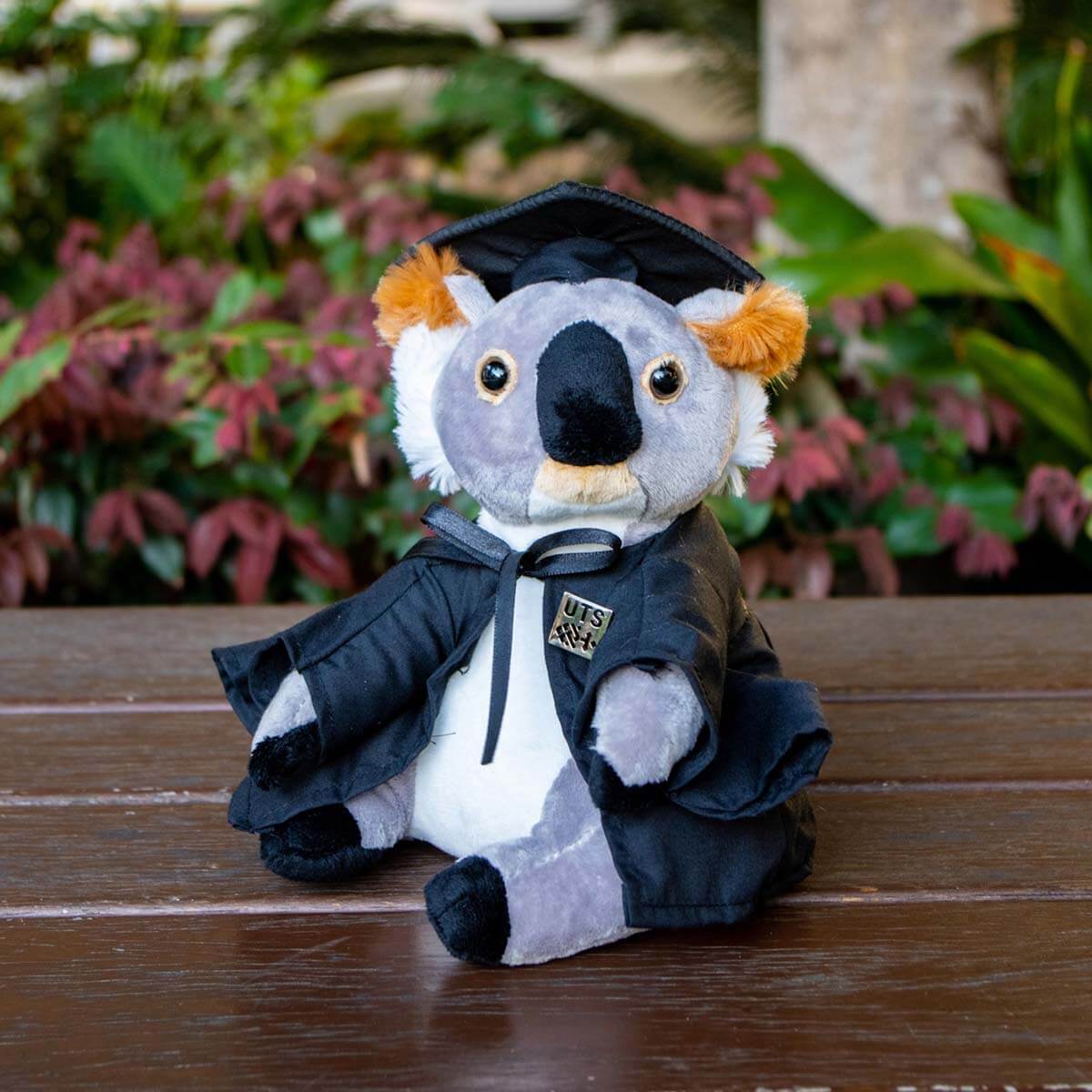 UTS Graduation Koala Activate UTS