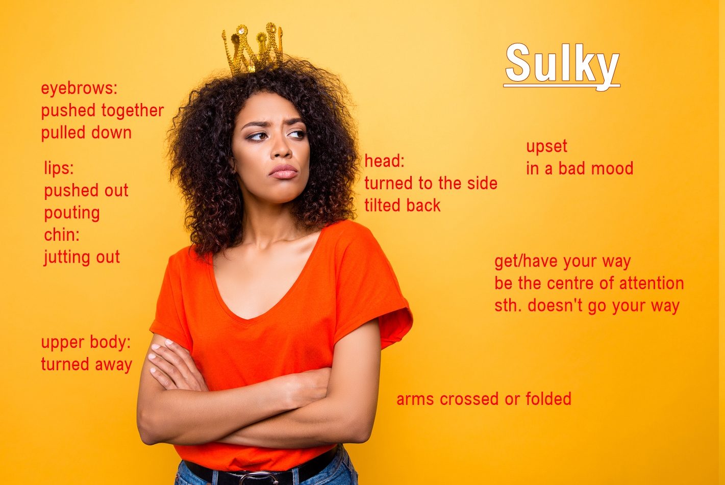Sulky Facial Expression OneMinute Picture Description (Vocabulary