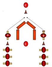 The Angle Tackle Football Drill