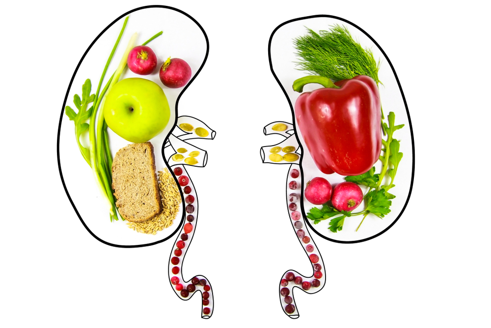 Foods Good For Your Kidneys ActiveBeat Your Daily Dose of Health