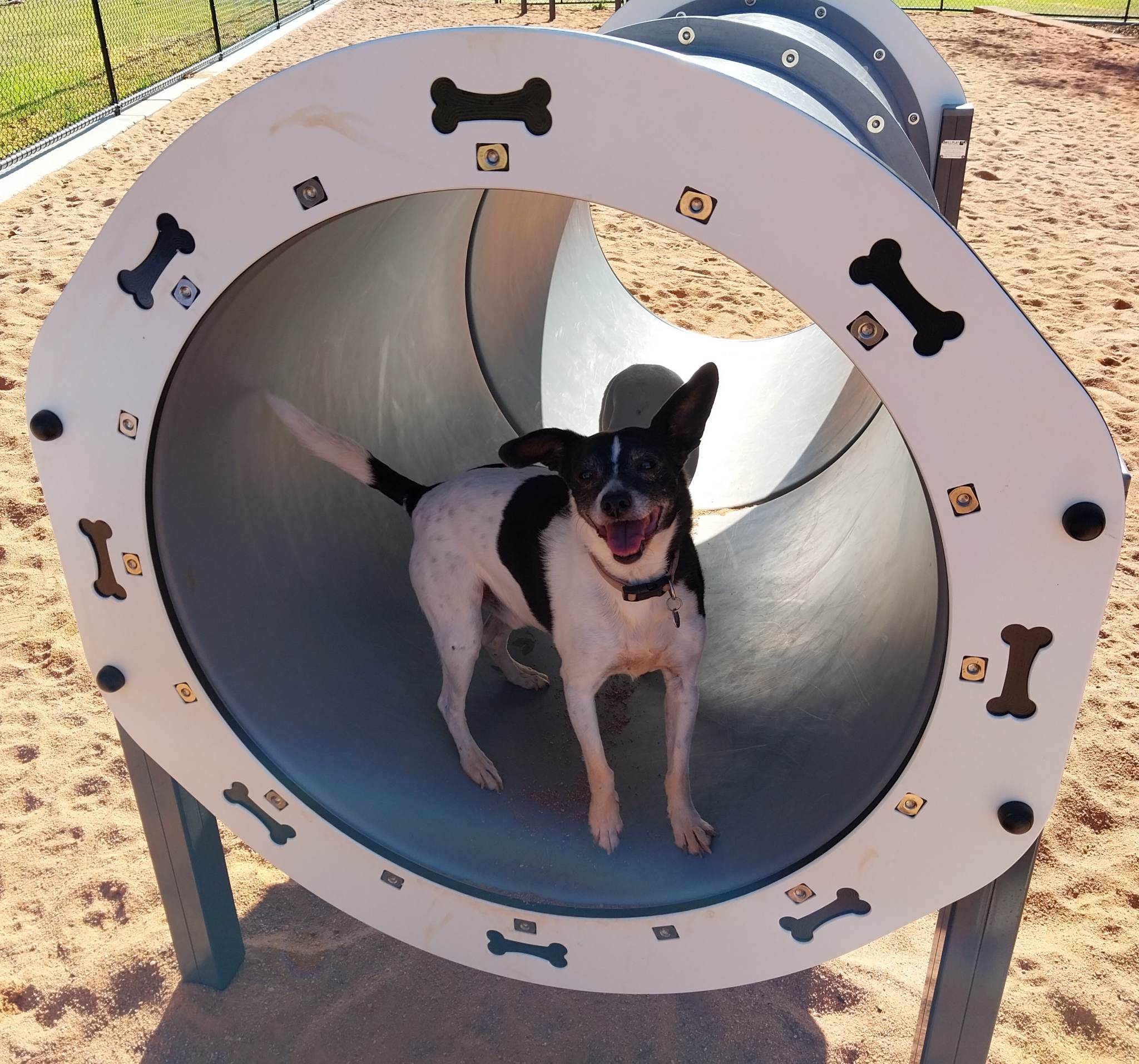 Piney Lakes Dog Park Active Discovery