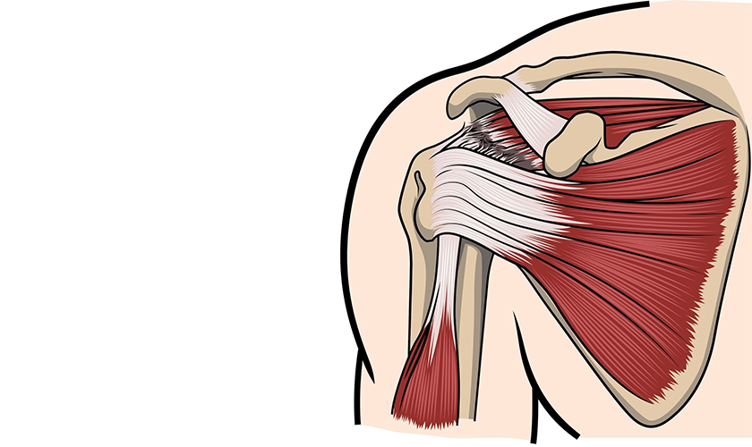 Shoulder Pain Treatments In Princeton, NJ Active Health Chiropractic
