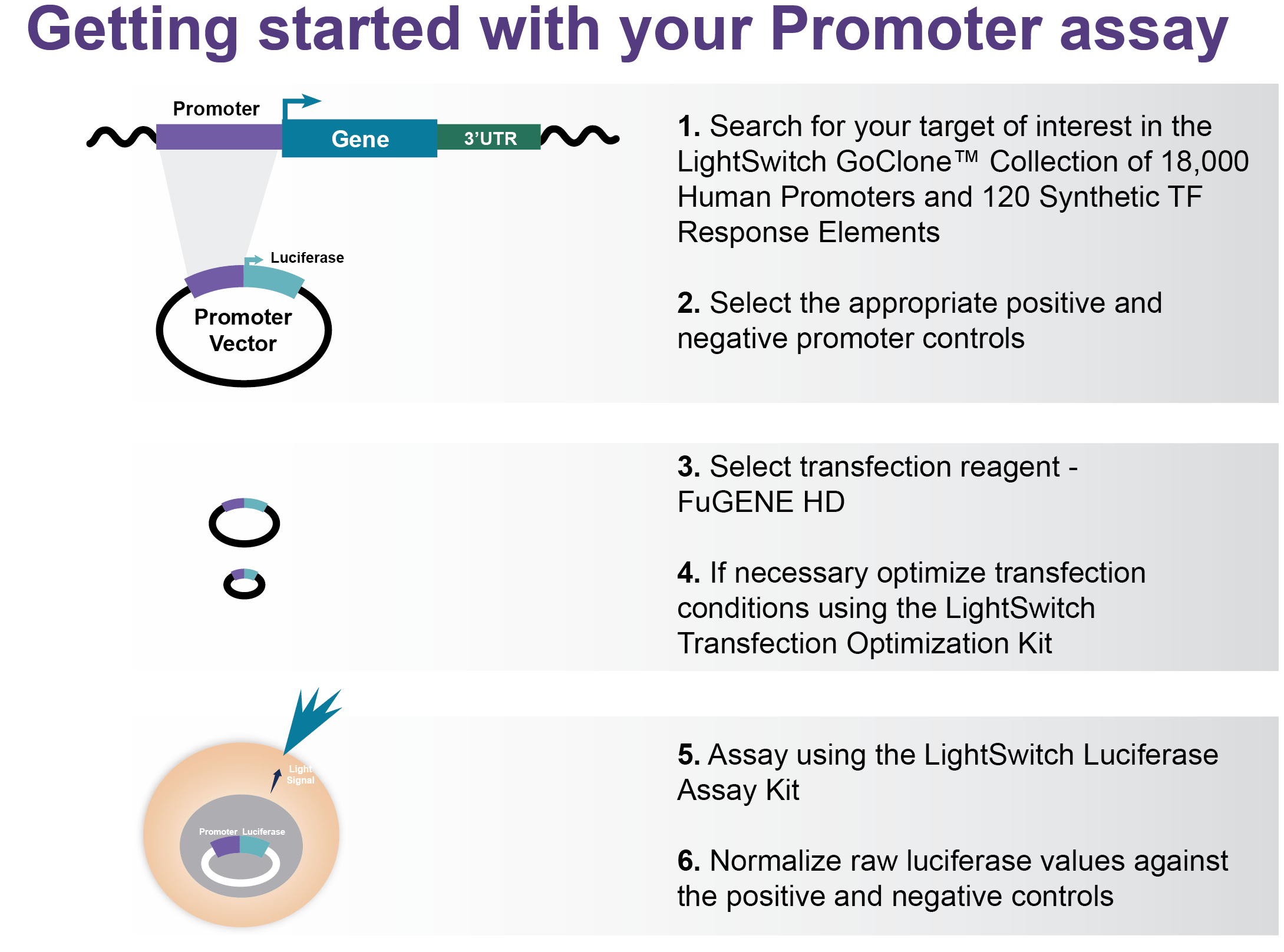 Search the LightSwitch Promoter Reporter Collections for your clone of