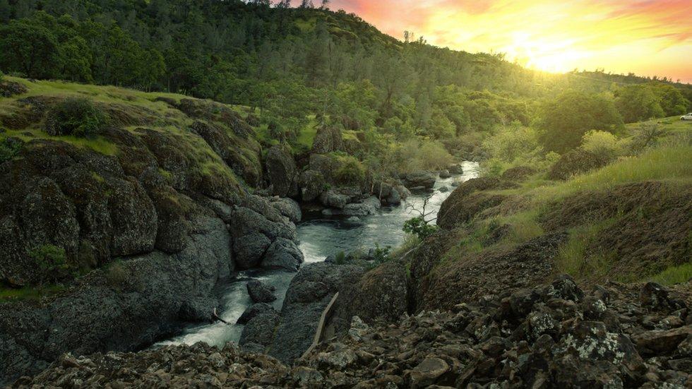 A Complete Guide to Bidwell Park Chico's Massive Outdoor Utopia