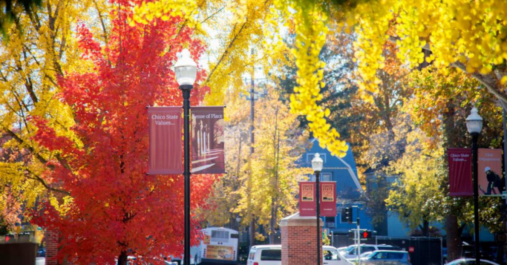 See a FallColor Explosion in Chico, California Active NorCal