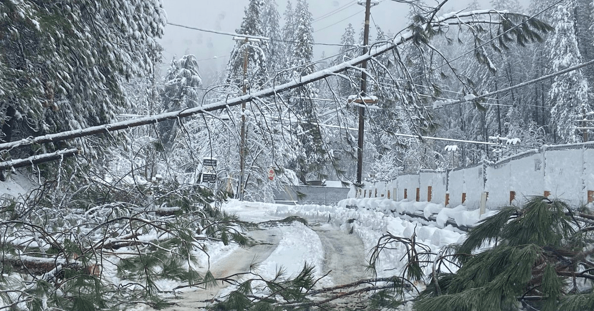 WATCH Snowy Grass Valley is an Absolute Sh**show with Downed Trees and