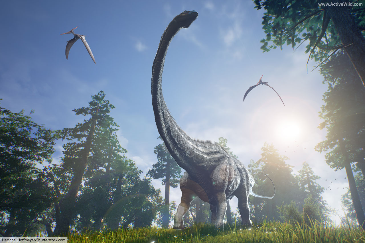 The Jurassic Period Facts & Info For Kids & Adults The Ultimate Guide