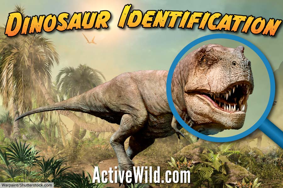 Top 142 + Dinosaur looking animals