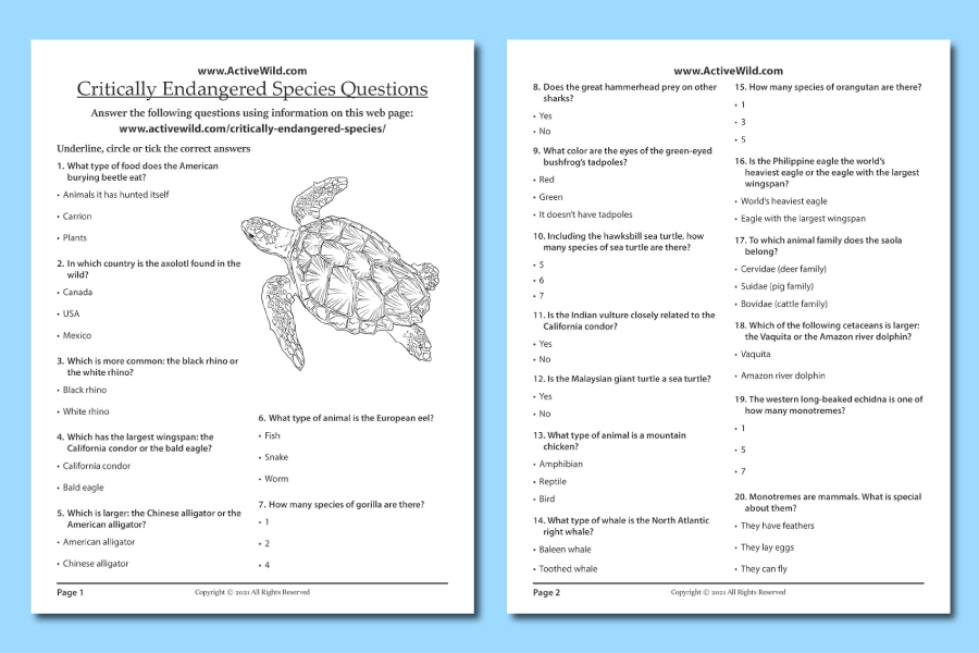 List Of Most Endangered Animals 2023 Critically Endangered Species 2021 List: The Most Endangered Species