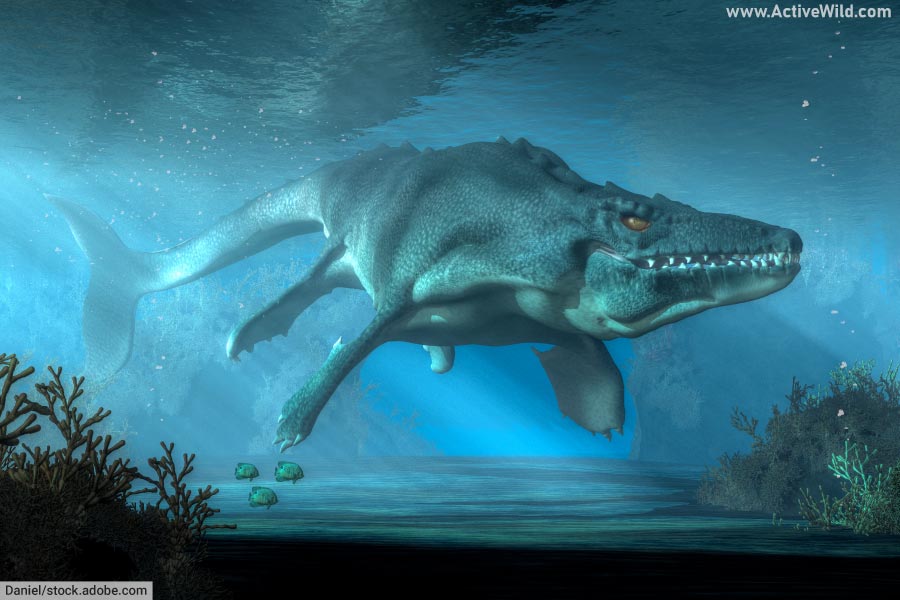 Mosasaurus Facts & Pictures Late Cretaceous Marine Predator Active Wild