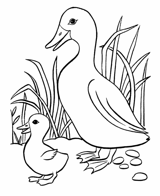 BlueBonkers Easter Ducks Coloring Page Sheets 14 Easter mother