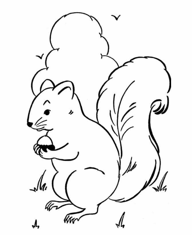 Spring Scenes Coloring Page 23 Squirrel Coloring Sheets Bluebonkers