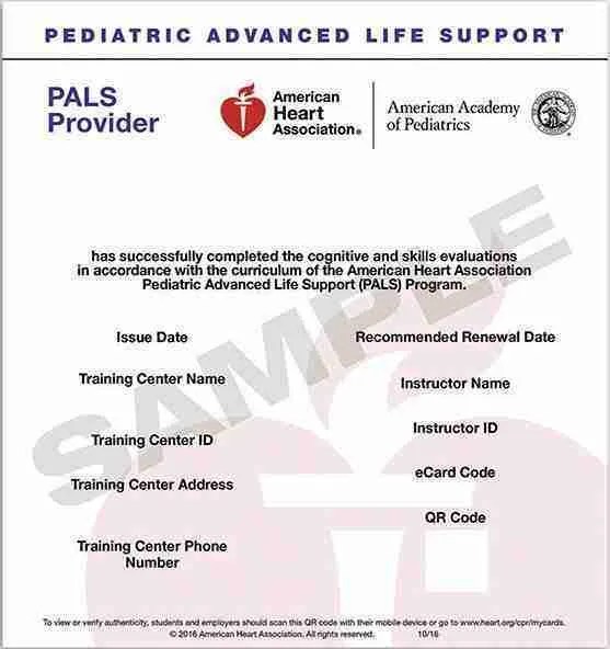 American Heart Association PALS Course Dallas Metroplex, Texas