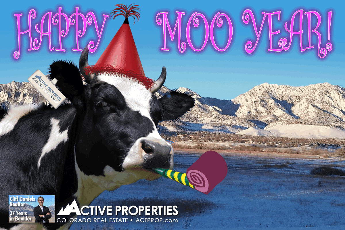Happy Moo Year from Active Properties! Active Properties
