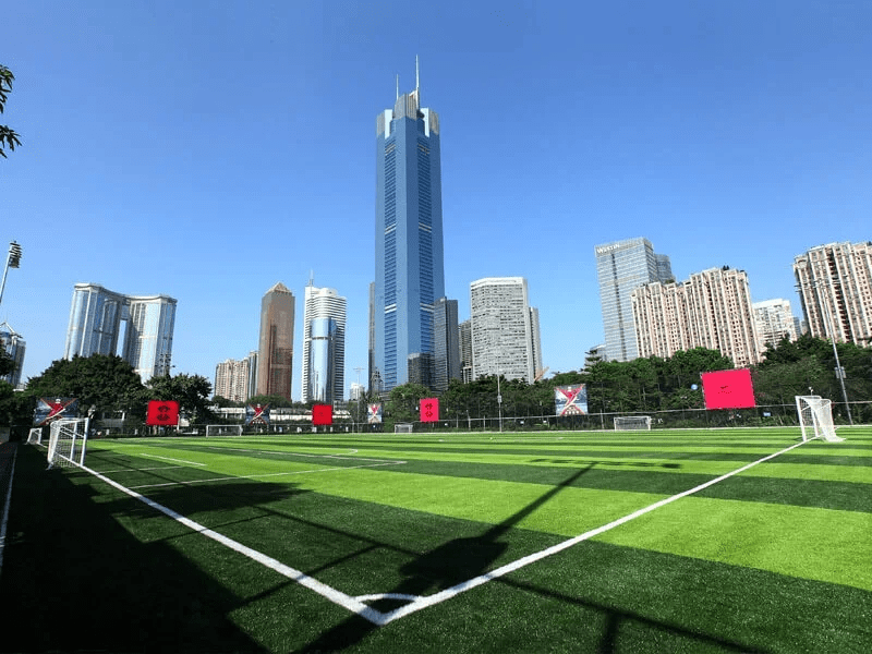 ACT GROUP Artificial/Fake Grass Soccer Field Turf for Sale