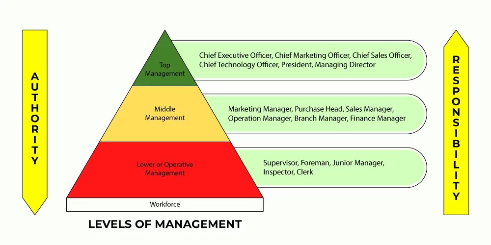 The 3 Levels Of Management Acuity Training