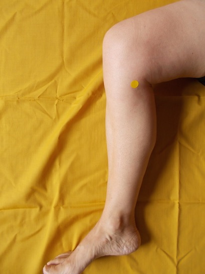 Sp 9 | Five Element Acupressure